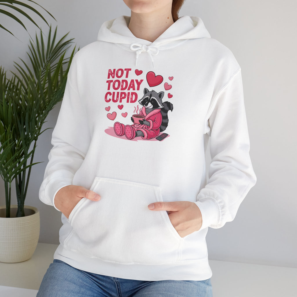 Not Today Cupid Hoodie — Funny Anti-Valentine’s Raccoon Sweatshirt